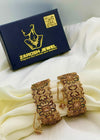 Bisma Openable Bangle Set by Zarosh Jewel