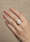 Chameli Pave Ring by Zarosh Jewel